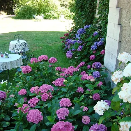 Chateau La Perche Hotel Buxières-sous-Montaigut